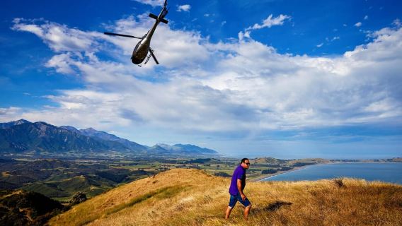Kaikōura: Lawatan Helikopter Menonton Paus 45 Minit