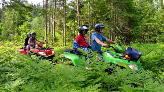 15 min. Tadoussac : Guided ATV tour excursion
