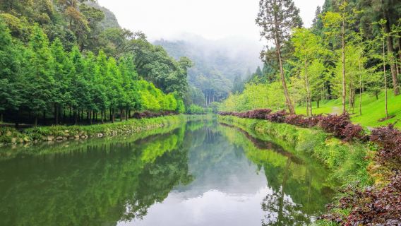 Khu nghỉ dưỡng rừng Sun Link Sea + Tour 1 ngày rừng Vergessen | Ưu đãi mua 1 tặng 1 tour ghép