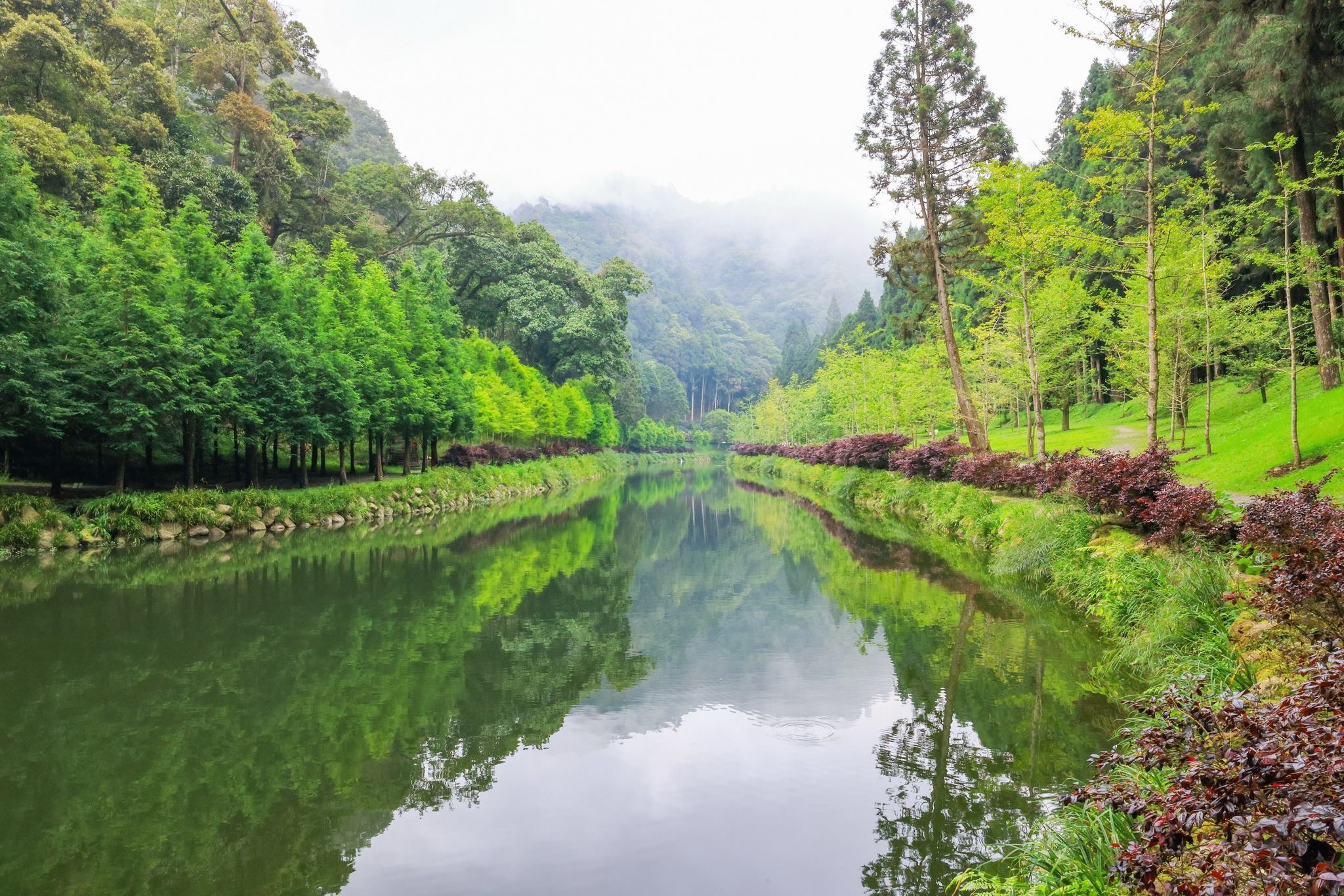 Excursión de un día al Área de Vacaciones Forestales de Shanlinxi + Bosque del Olvido con servicio de coche privado con conductor disponible