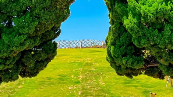 perjalanan satu hari Qingdao: Zhanqiao, Xiaoyushan, Gereja Katolik, Badaguan, Alun-alun Empat Mei, Pulau Gandum