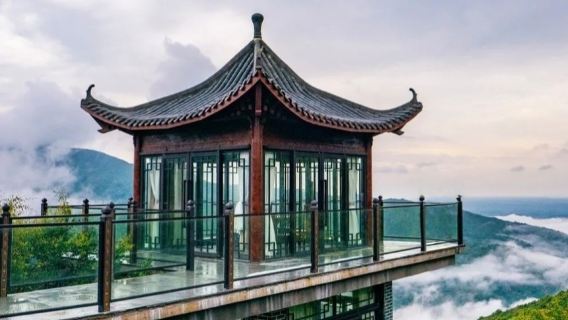 北海絲路越州浦北石祖禪茶園（陳皮產業園）