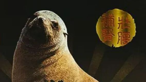 INNOMED|Productos premium de Hanting|Tabletas Sea Dog God 360|Mejorar la vitalidad de los hombres