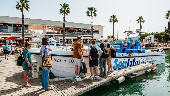 Lagos: Lawatan Dolphin Watch bersama Ahli Biologi Marin Profesional