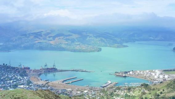 基督城大教堂+維多利亞鐘樓+追憶橋+野生動物園+海灘一日遊