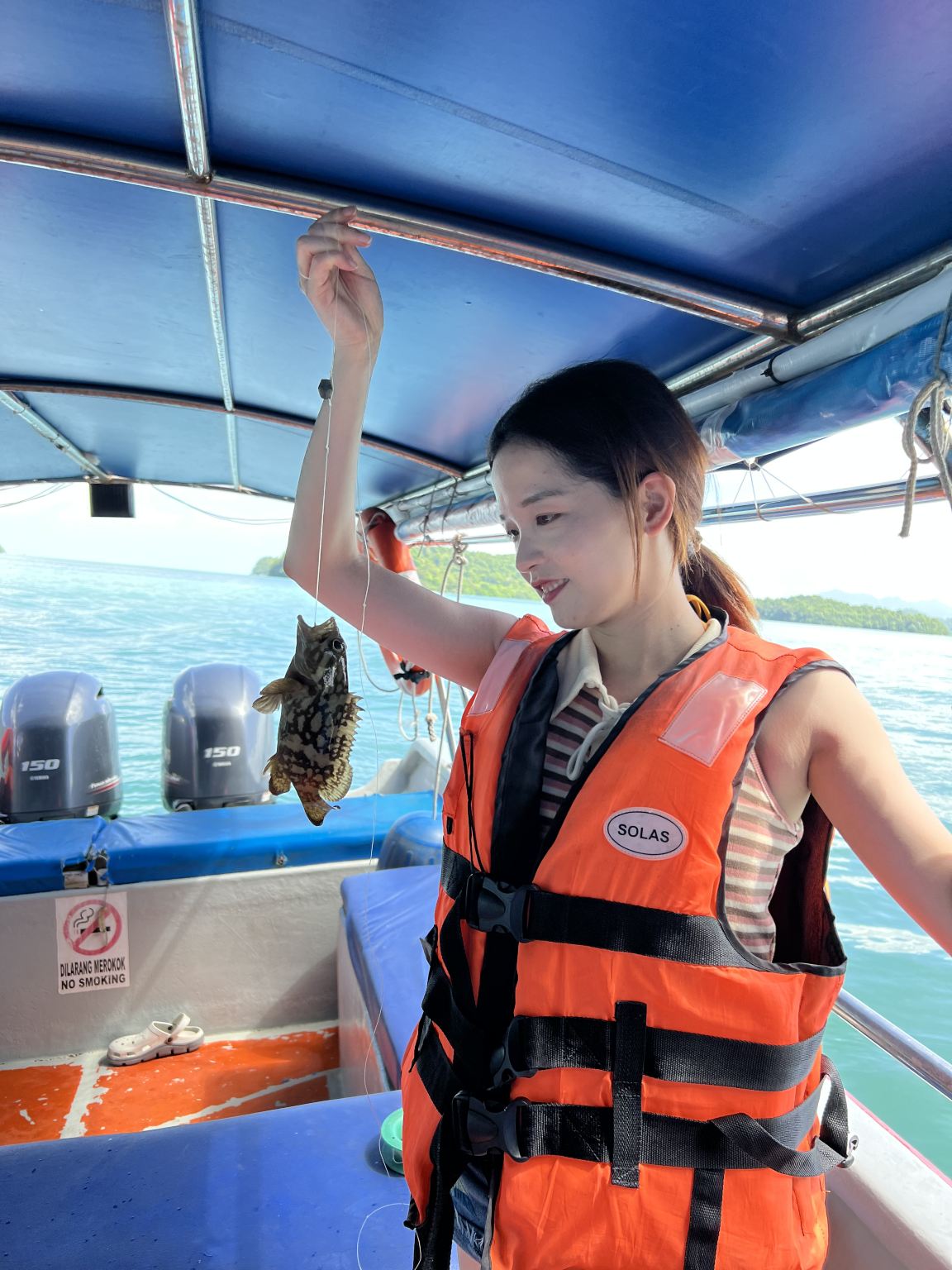 Tour VIP di un giorno a Langkawi con crociera al tramonto: Isola Wet Rice, Isola del Leone Gigante, Isola della Donna Incinta e Isola di Cristallo