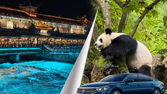 tur pribadi Dujiangyan dan Taman Panda (berangkat dari Chengdu)