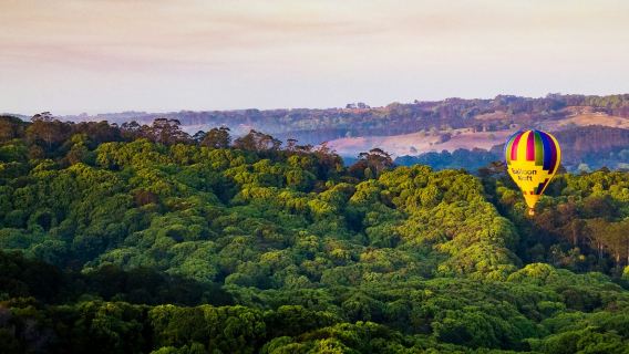 Byron Bay: Vuelo en globo aerostático al amanecer