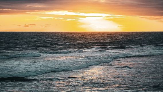 ทัวร์ศักดิ์สิทธิ์ทางศาสนาและธรรมชาติเพื่อการเยียวยาในศรีลังกา แคนดี วัดพระเขี้ยวแก้ว + ทัวร์เหมารถส่วนตัวสถานสงเคราะห์ช้าง