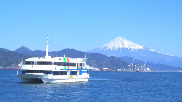 Departing from Nagoya | Shimizu Port Cruise + Cable Car to Toshogu Shrine | 1-Day Tour of Land, Sea, and Sky Scenery