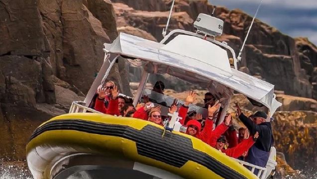 타즈만 페닌슐라 스피드보트 유람선 크루즈 [포트 아서에서 야생 바다표범 관찰/동굴과 절벽 감상 + 선택 가능한 라울 곶 유람선(Cape Raoul) + 호바트 시내 왕복 옵션]