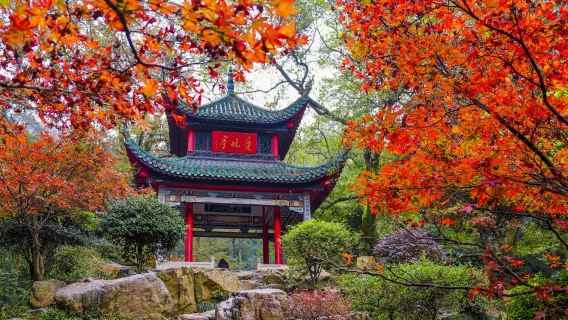 Tempahan tiket masuk Gunung Yuelu + lawatan berpandu secara langsung (bas pelancong naik + kereta kabel turun)