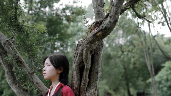 Lijin trip moments[On-site photography services including newborn photos, family portraits, promotional videos, photos, short videos, portraits, wedding photos with all raw images provided]