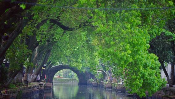 Cina Suzhou: Antico villaggio di Tongli & Via Pingjiang & Museo di Suzhou tour di un giorno con noleggio con conducente esclusivo