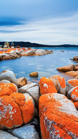 Tour to the gardens in Tasmania, Australia [includes city transfers + orange granite beach]