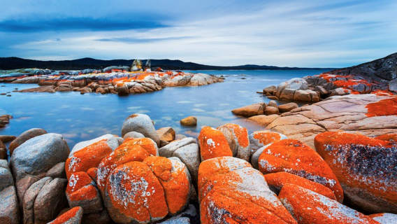 Excursión a la Bahía de los Fuegos en Tasmania, Australia [Incluye traslados urbanos + playa de granito anaranjado]