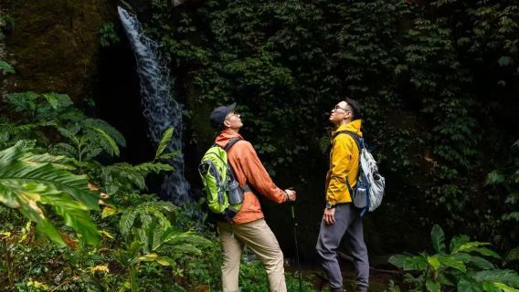 Mendaki Hutan Hujan Amimo di Gunung Gaoligongshan Tengchong (Pemandu Pelancong Profesional + Menjelajah Sungai + Kumpulan Kecil Hiburan Tulen)