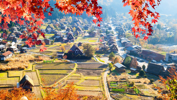 Khởi hành từ Kanazawa Nhật Bản: Tour buýt tham quan Ngôi làng Gassho Shirakawa-go Di sản Thế giới [Bao gồm làm bánh ngọt Nhật Bản]