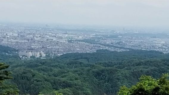 日本東京來回川越・小江戶 + 龍貓森林中文一日遊