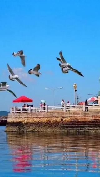 Liaoning Dalian 1-day tour: Lvshun port panoramic tour / military port / admission ticket not included