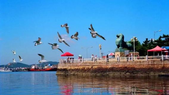 Jednodniowa wycieczka w Liaoning, Dalian: Panoramiczna wycieczka po porcie Lüshun / Port Wojenny / Bilety wstępu nie wliczone