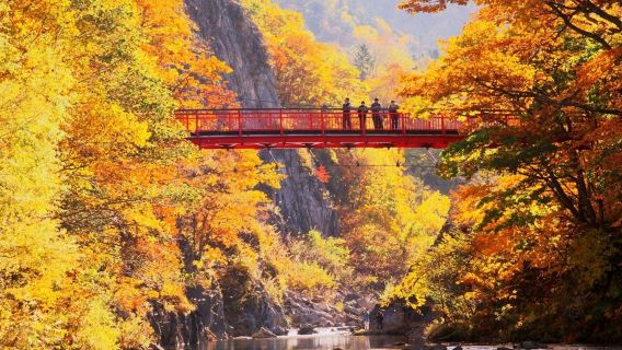 札幌|定山溪神社-二見吊橋-定山溪溫泉 -藻岩山一日遊不含票