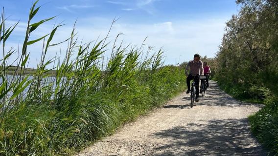 Montpellier: Guided Tour of Petite Camargue - Camin de Fe by electric bike