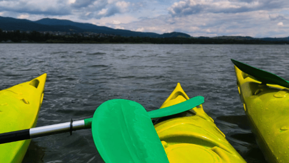 Mirissa: Guided Garadu Lagoon Mangrove Kayaking Experience