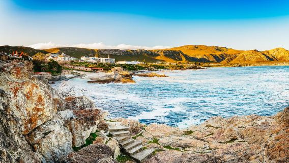 Hermanus: Whale and Dolphin Watching Boat Trip
