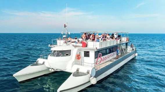 Catamaran cruise and visit to the mussel farms with an appetizer