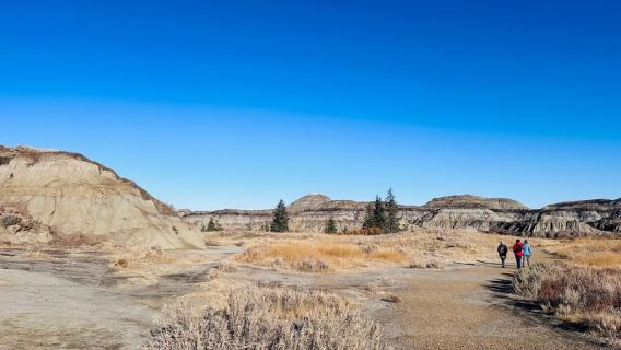 Calgary: Drumheller with Museum, Hoodoos, Canyon & Dinosaurs