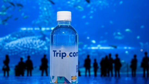 【9人少人数ツアー】沖縄北部ワンデーツアー 美ら海水族館・万座毛・古宇利アメリカンビレッジ