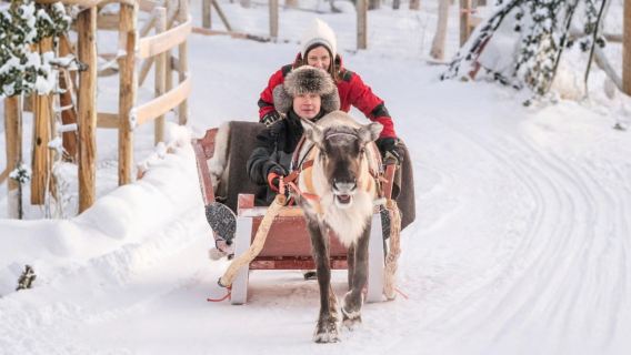 Seleção de experiências de inverno em Rovaniemi, Finlândia: opções de caminhada com raquetes de neve/trenó puxado por animais/pesca no gelo em lago congelado