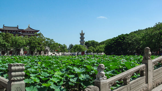 寧波日遊