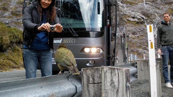 Queenstown