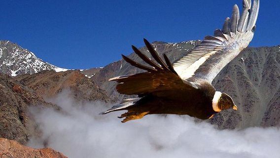Los Andes ProvinceTours