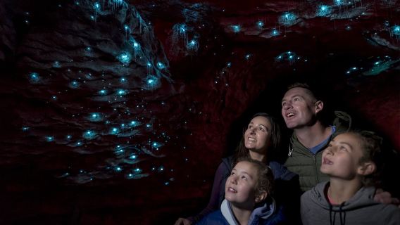 South Island, New Zealand: Explore the Te Anau Glowworm Caves (Scenic Cruise + Cave Adventure)