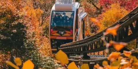 韓國和談林一日遊【和談林 奧林匹克公園一日包車遊 中文司導】