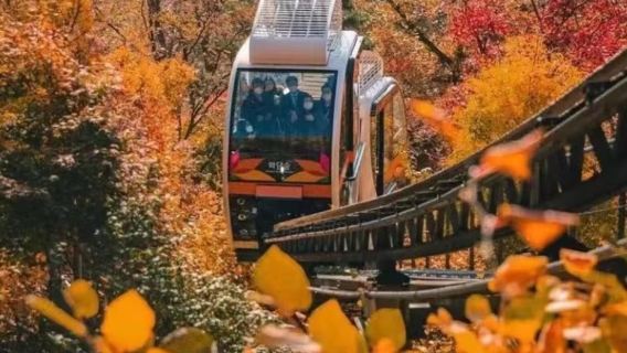 韓國和談林一日遊【和談林 奧林匹克公園一日包車遊 中文司導】