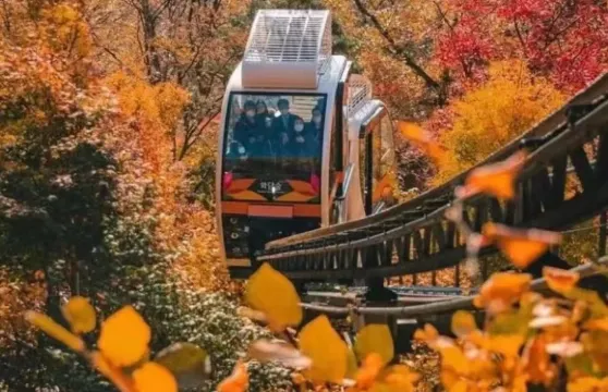韓國和談林一日遊【和談林 奧林匹克公園一日包車遊 中文司導】