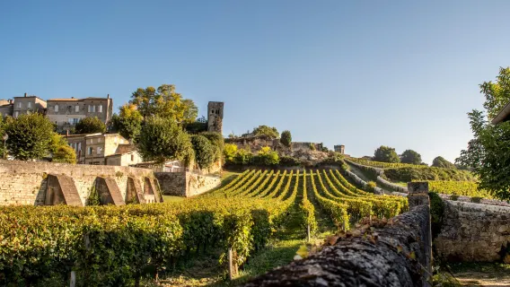 法國波爾多酒莊包車一日遊聖艾美隆產區紅酒小鎮中文司機服務