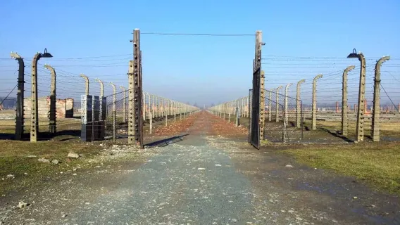 Auschwitz-Birkenau & Salt Mine in One Day