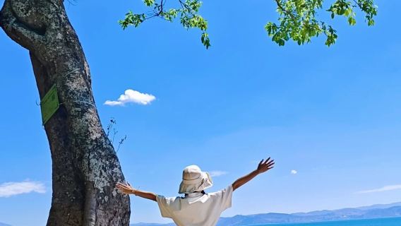 昆明撫仙湖旅拍【【全精修】精緻攝影旅行】