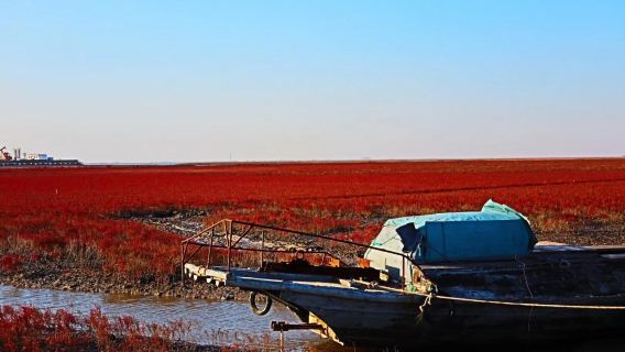 盤錦海邊+紅海灘海景+風景廊道+尊享專車+上門接送+深度遊