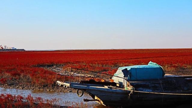 Panjin Seaside + Red Beach Seascape + Scenic Corridor + Premium Private Car + Door-to-Door Transfer + In-Depth Tour