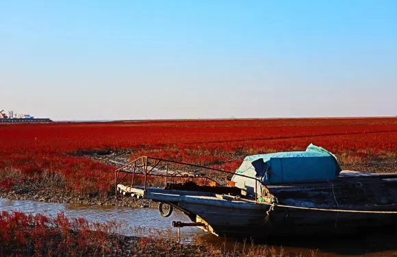 盤錦海邊+紅海灘海景+風景廊道+尊享專車+上門接送+深度遊