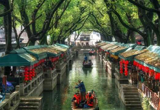 Tongli Ancient Town Live Guide: Suzhou Water Town Walking Experience