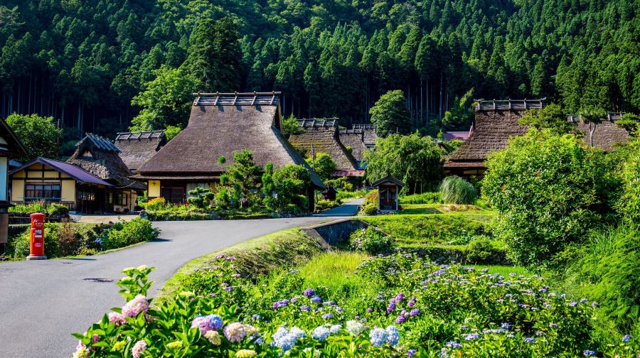 天橋立觀海 + 伊根舟屋 + 美山町北村 關西祕境深度漫遊