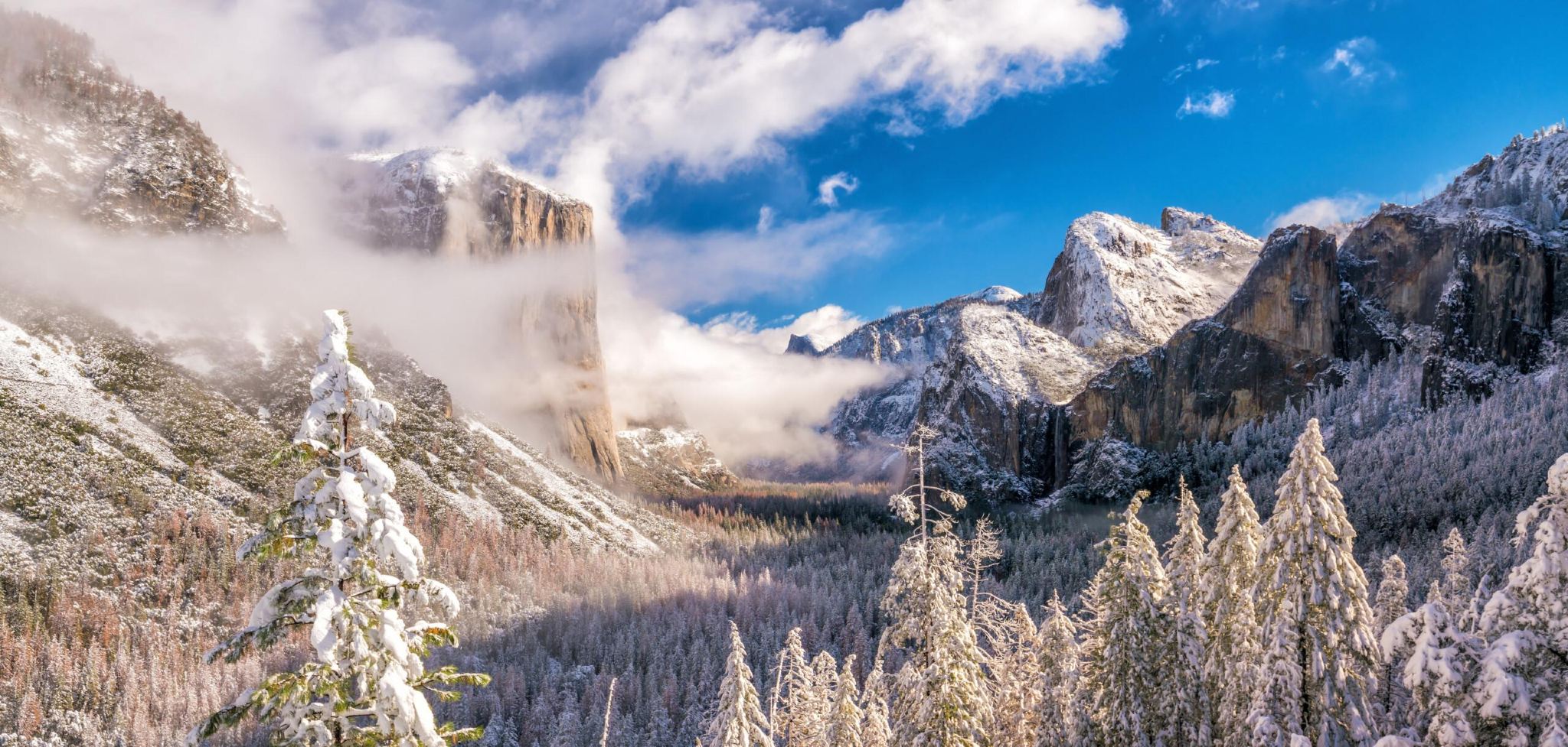United States Yosemite National Park + Giant Sequoia hiking 1-day tour [departing from San Francisco | foreign language guide]