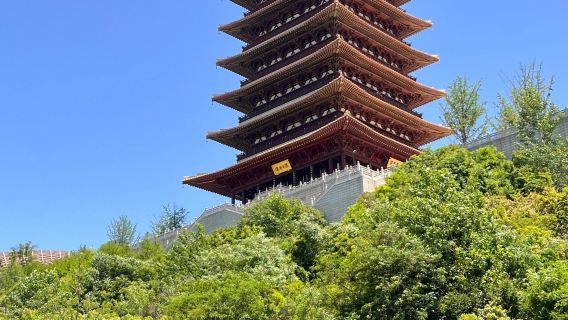 Nanjing Six Dynasties Museum + Niu Shou Mountain + Lao Men Dong + Yu Yuan one-day tour with private charter Car, English Service Available